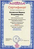 Сертификат о размещении в социальной сети работников образования электронного портфолио